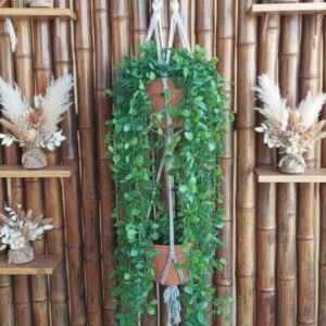 Porta Macetas Macramé DÚO